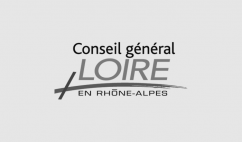 Conseil Général de Loire en Rhone-Alpes
